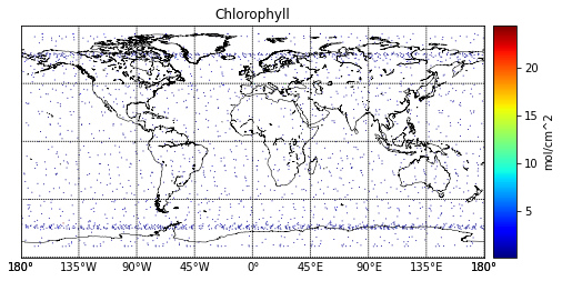 Photo of the Chlorophyll